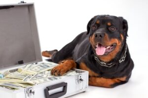 maximum payout cap guard dog