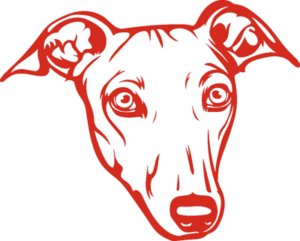 grehound face outline