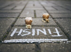 snail racing