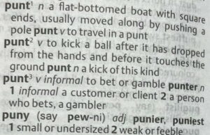 word punt and punter in dictionary