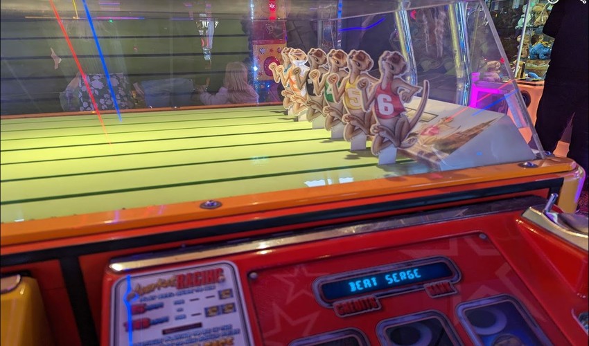 meerkat racing arcade game
