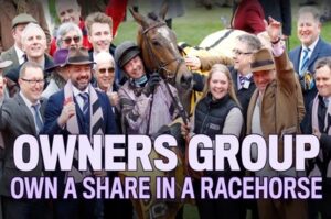 own share in racehorse