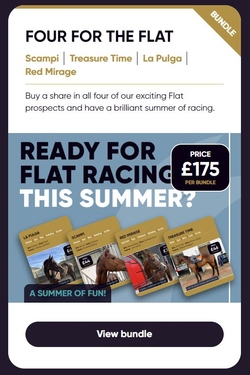 racehorse share package bundles
