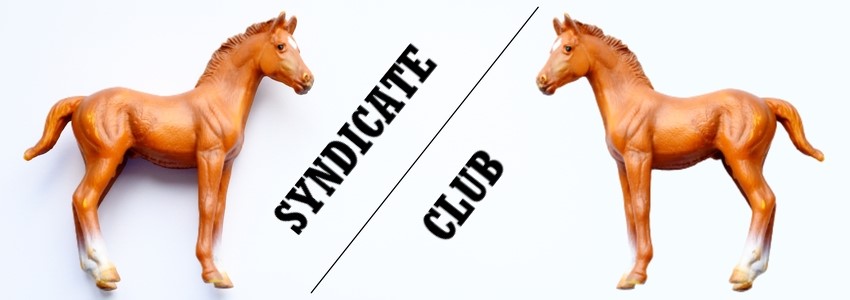 racehorse syndicate and club difference