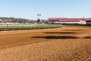 Dirt Track