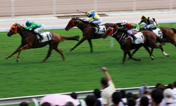 horse racing