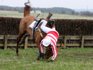 horse and jockey falling