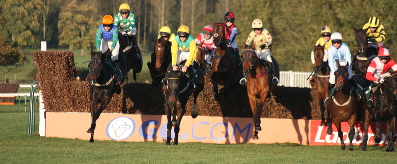 horses jumping a fence