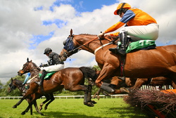 national hunt jump race