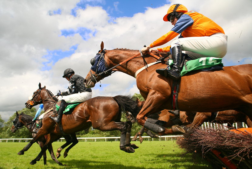 Horses Jump a Fence in During a Race