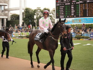 ruby walsh riding blackstairmountain