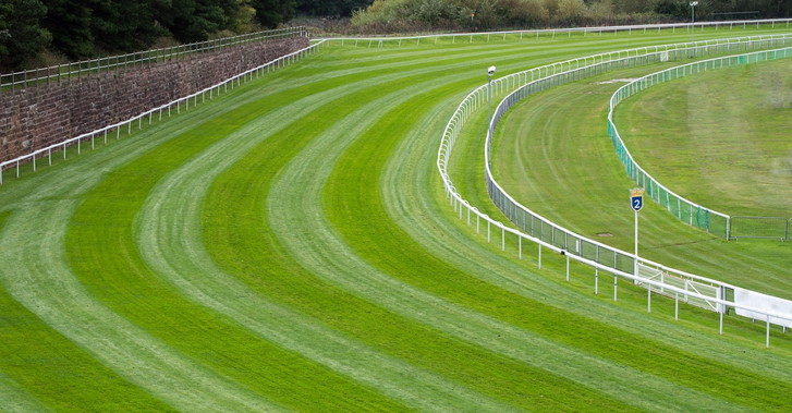 flat horse racing track