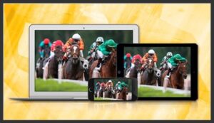 racebets stream 400px