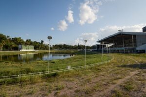 Demise of Greyhound Racing in the UK