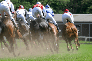 Horse Race