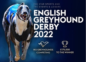 english greyhound derby