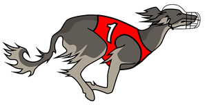 greyhound graphic