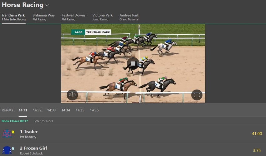 virtual horse racing