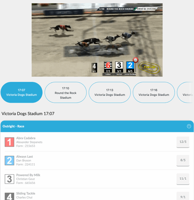 virtual greyhound race