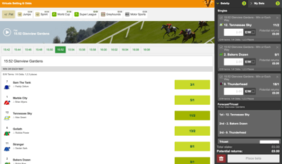 virtual racing console and bet slip