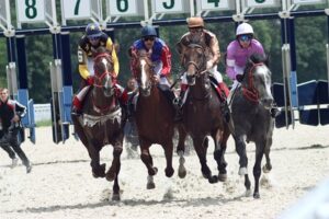 Betting on Amateur Horse Racing