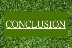 Conclusion on Grass Background