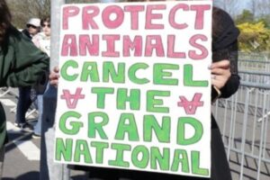 Grand National Animal Rights Activists