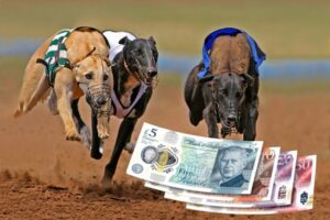 Greyhound Racing Prize Money