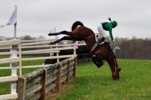 Horse Racing Fatalities