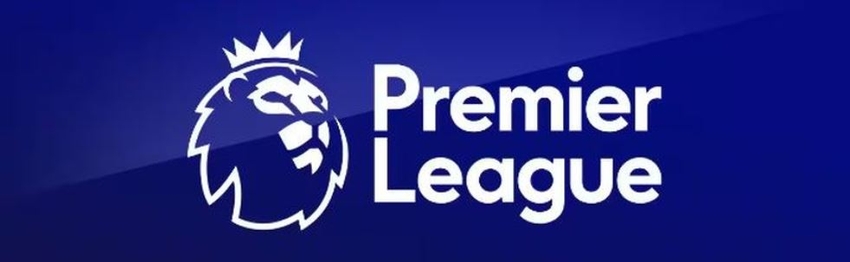 Premier League Logo Banner