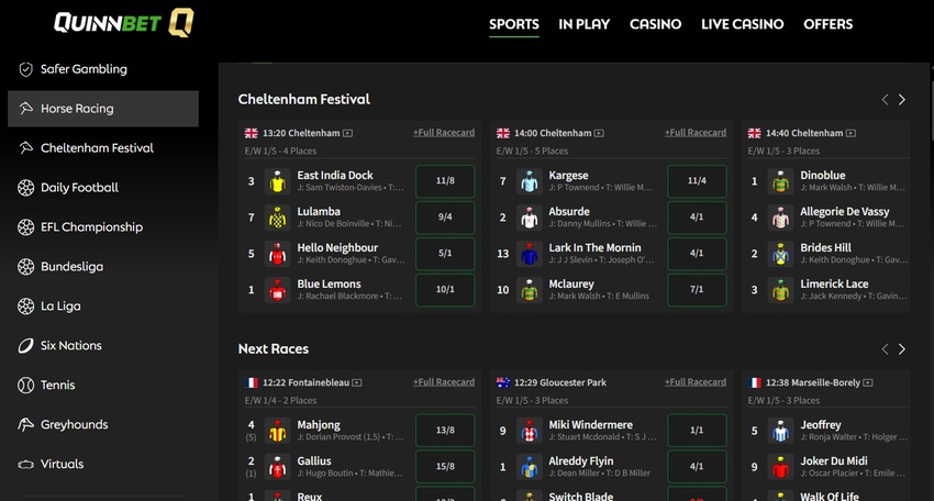 Quinnbet review sports market