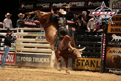 What is Bull Riding and the PBR